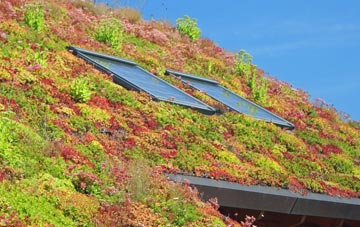 Penstrowed living roof systems