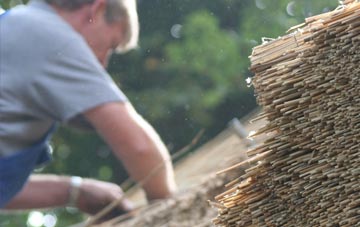 professional Penstrowed thatchers