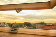 rated Penstrowed roof window companies